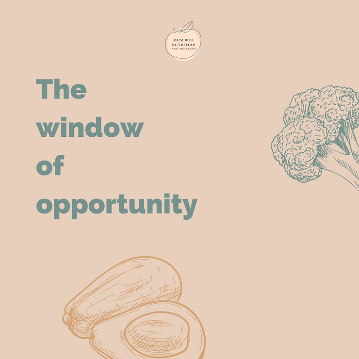 The Window of Opportunity